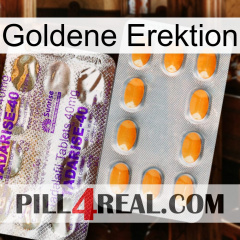 Golden Erection new12